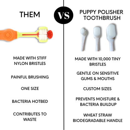 La Brosse à dents écologique Puppy Polisher