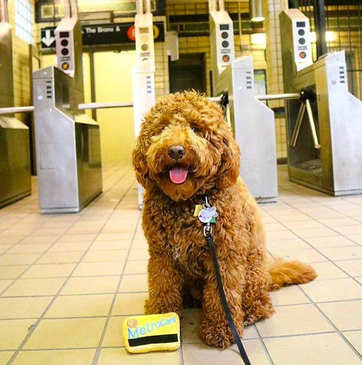 La carte de métro