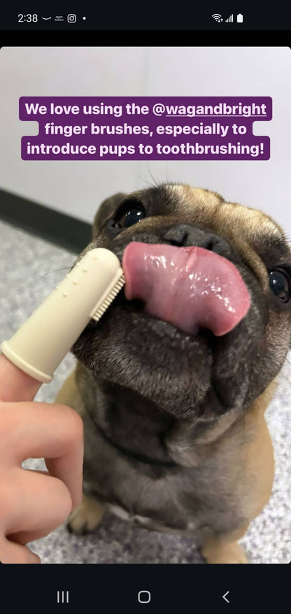 La Brosse à doigts Puppy Polisher