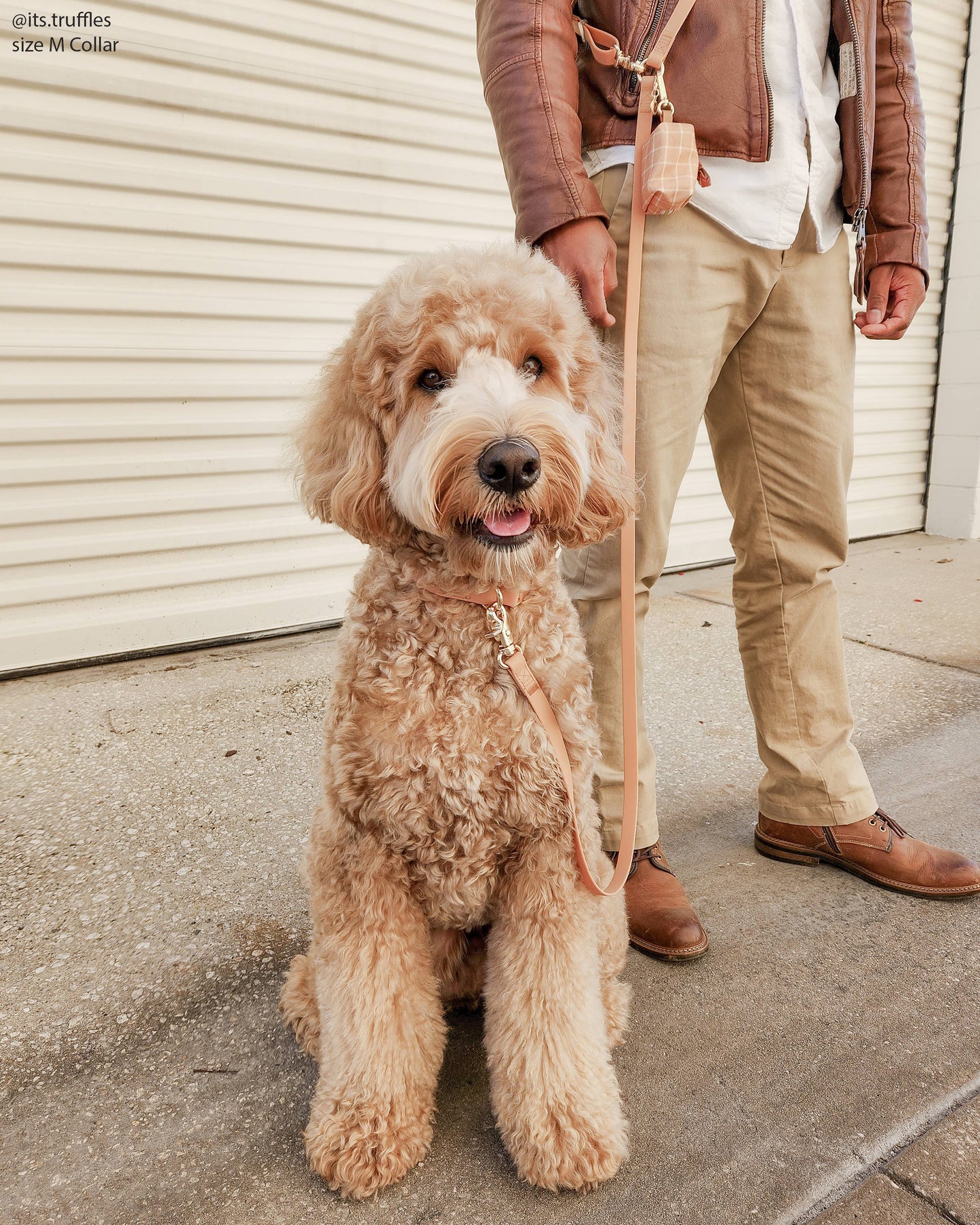 Le Collier imperméable pour chien Chai Brown