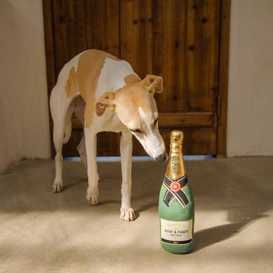 Le Jouet Champagne