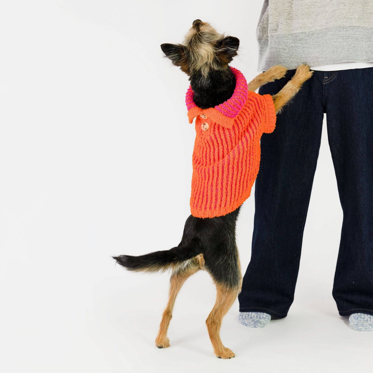 Le Pull - Orange