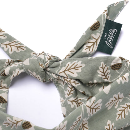 Le Bandana pour chien Boone