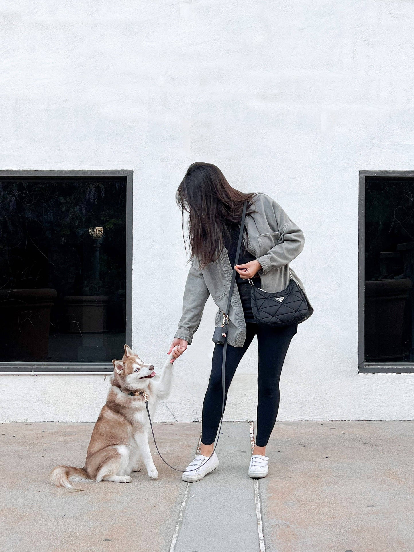 La Laisse pour chien Ember Black convertible 4 en 1 Hands Free Cloud