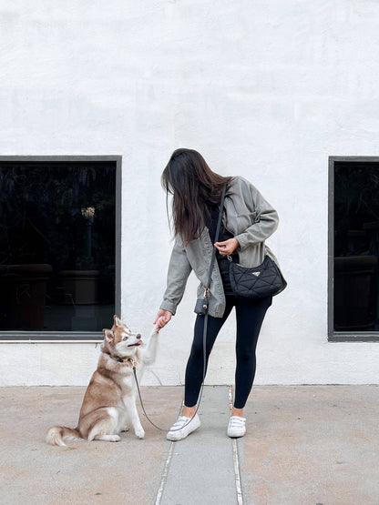 La Laisse pour chien Ember Black convertible 4 en 1 Hands Free Cloud