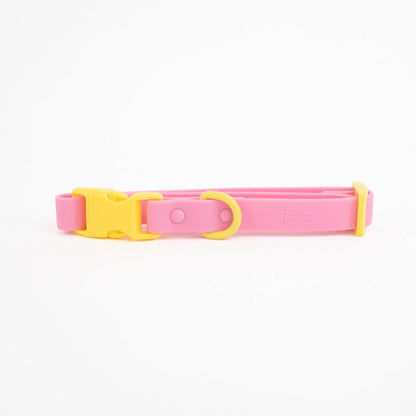 Le collier Fritz