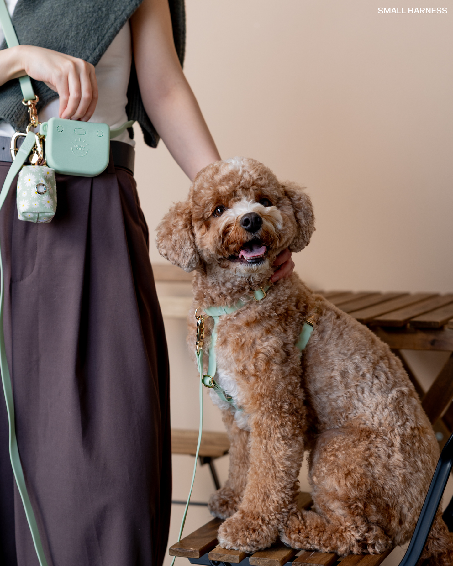 La Laisse mains libres convertible 4-en-1 pour chien vert pistache