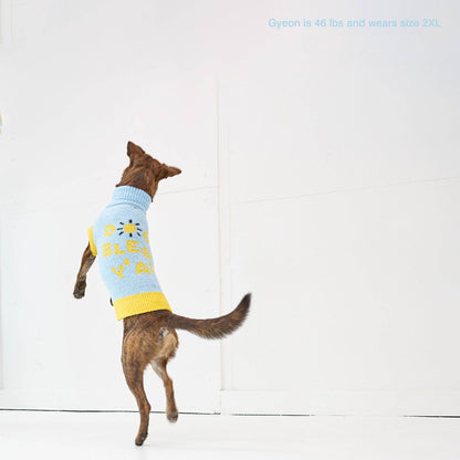 Le Pull - DOG BLESS