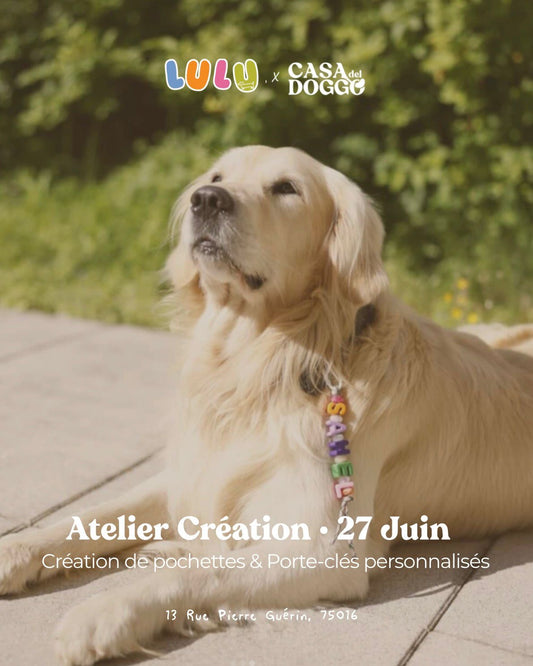 Atelier Création