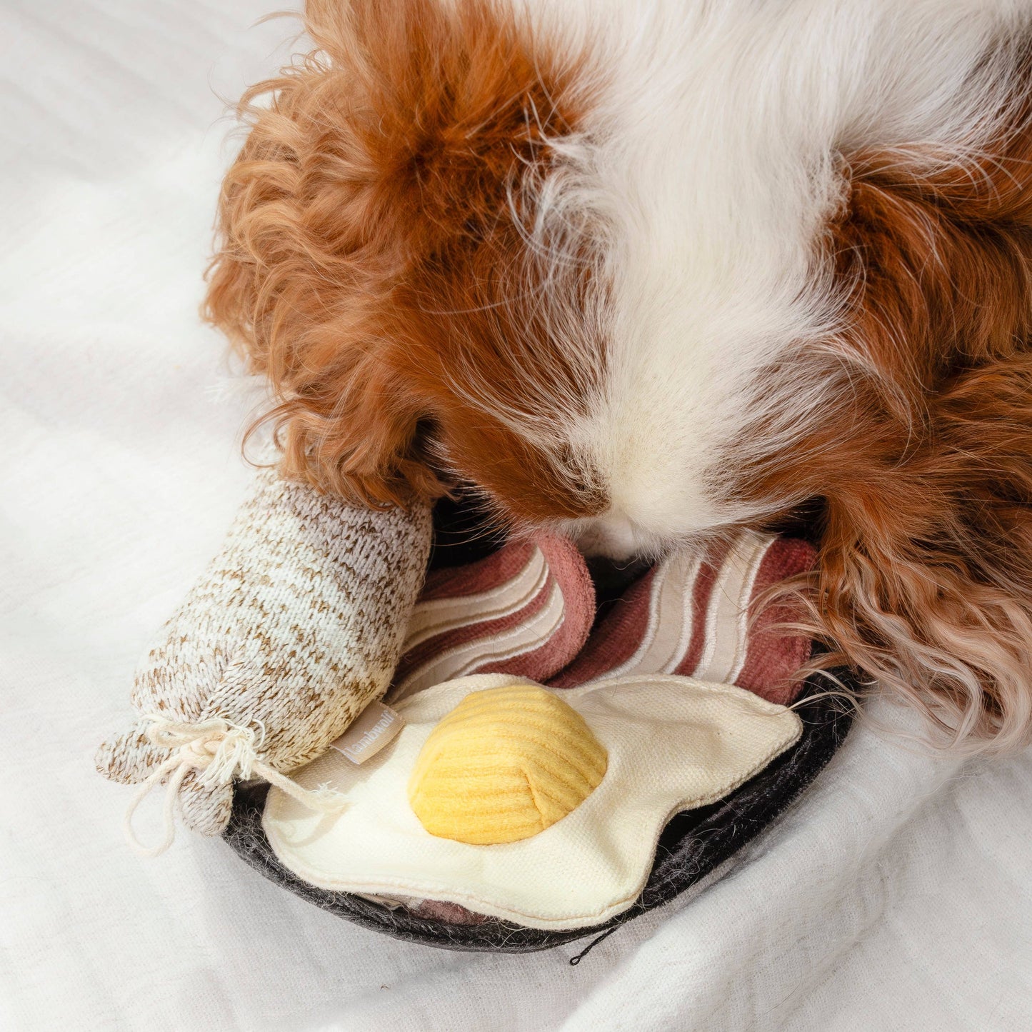 Le Breakfast - Jouet de fouille
