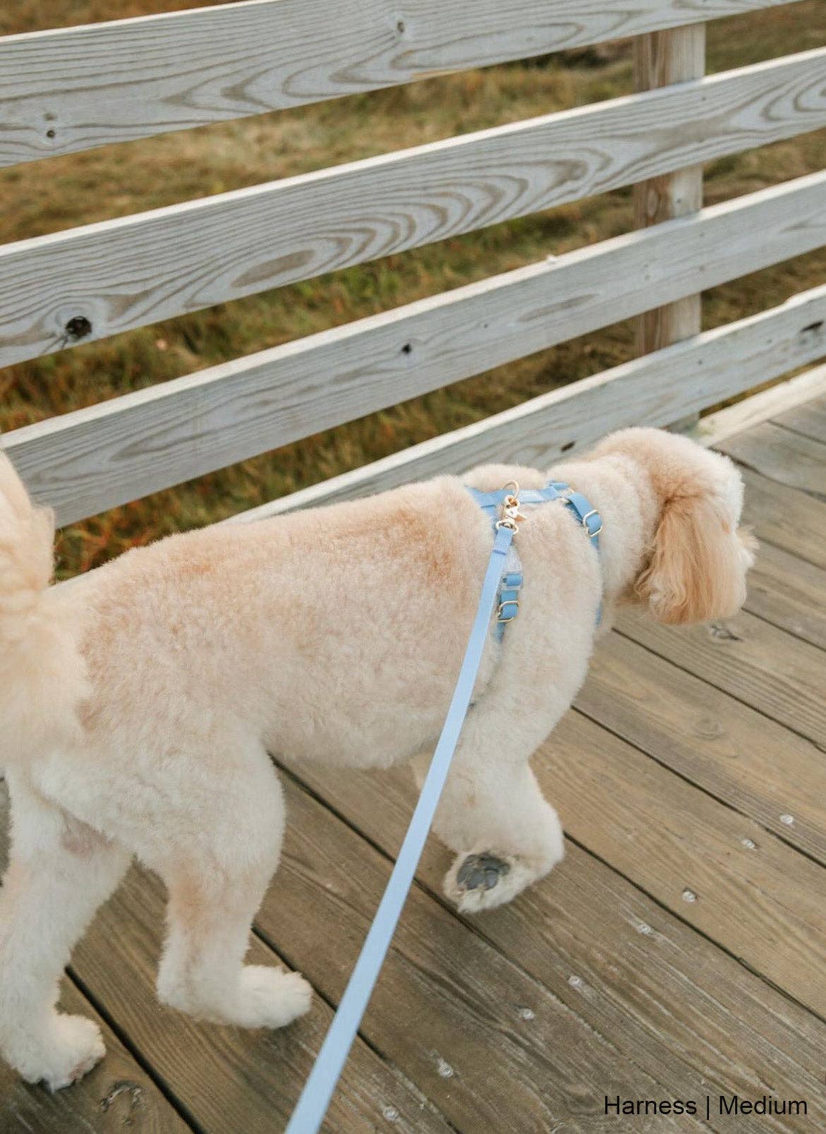 Le Harnais pour chien Malibu Blue Cloud Lite