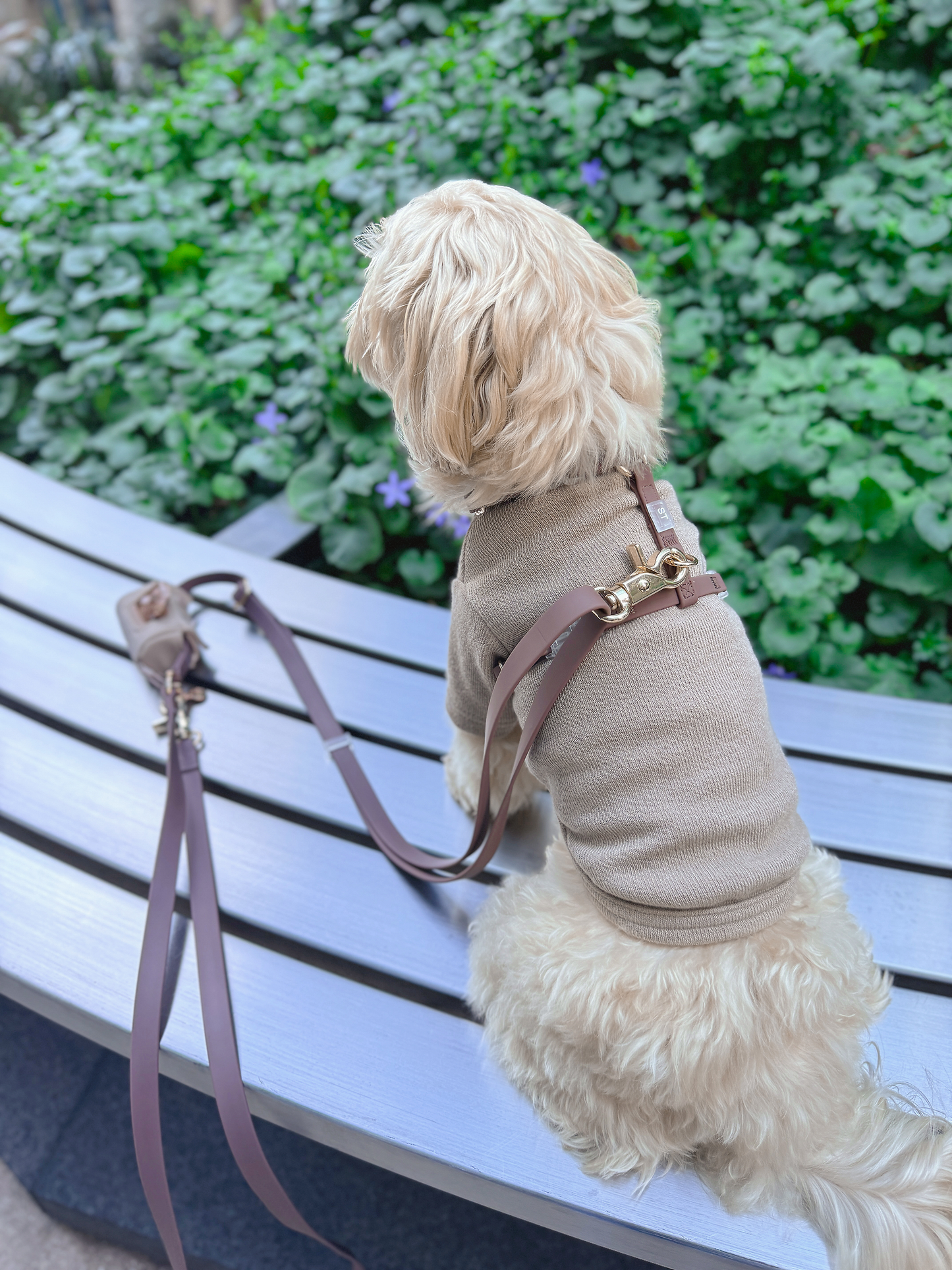 Le Harnais pour chien Espresso Brown Cloud Lite
