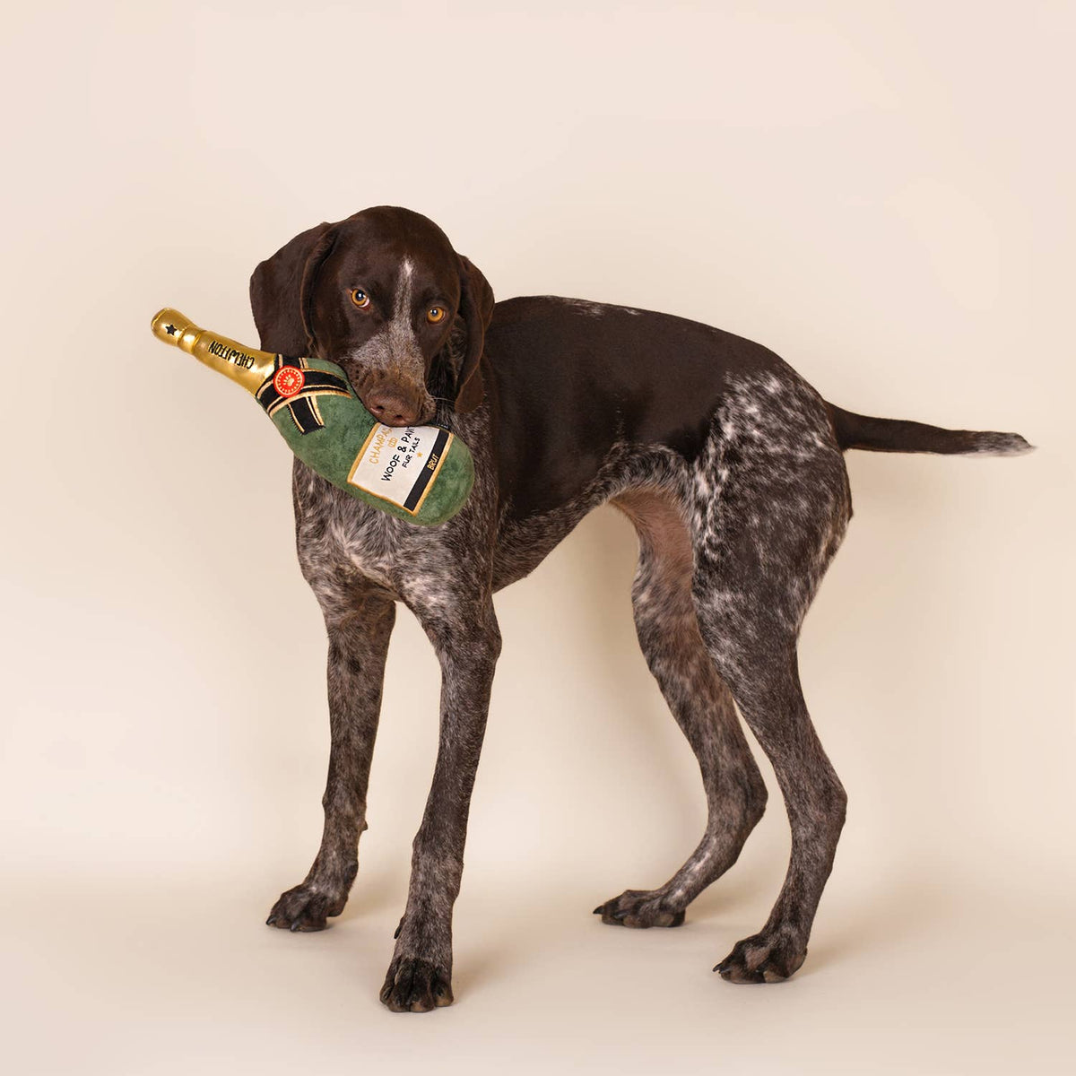 Le Jouet Champagne