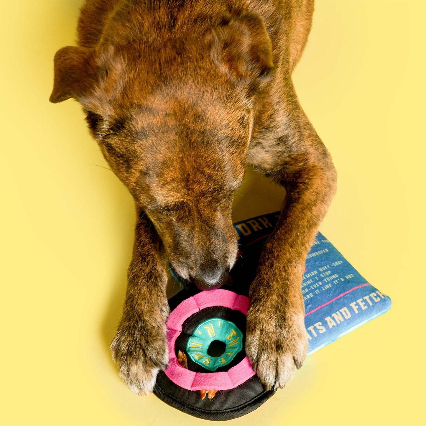 Le Jouet d’odorat en vinyle pour chien