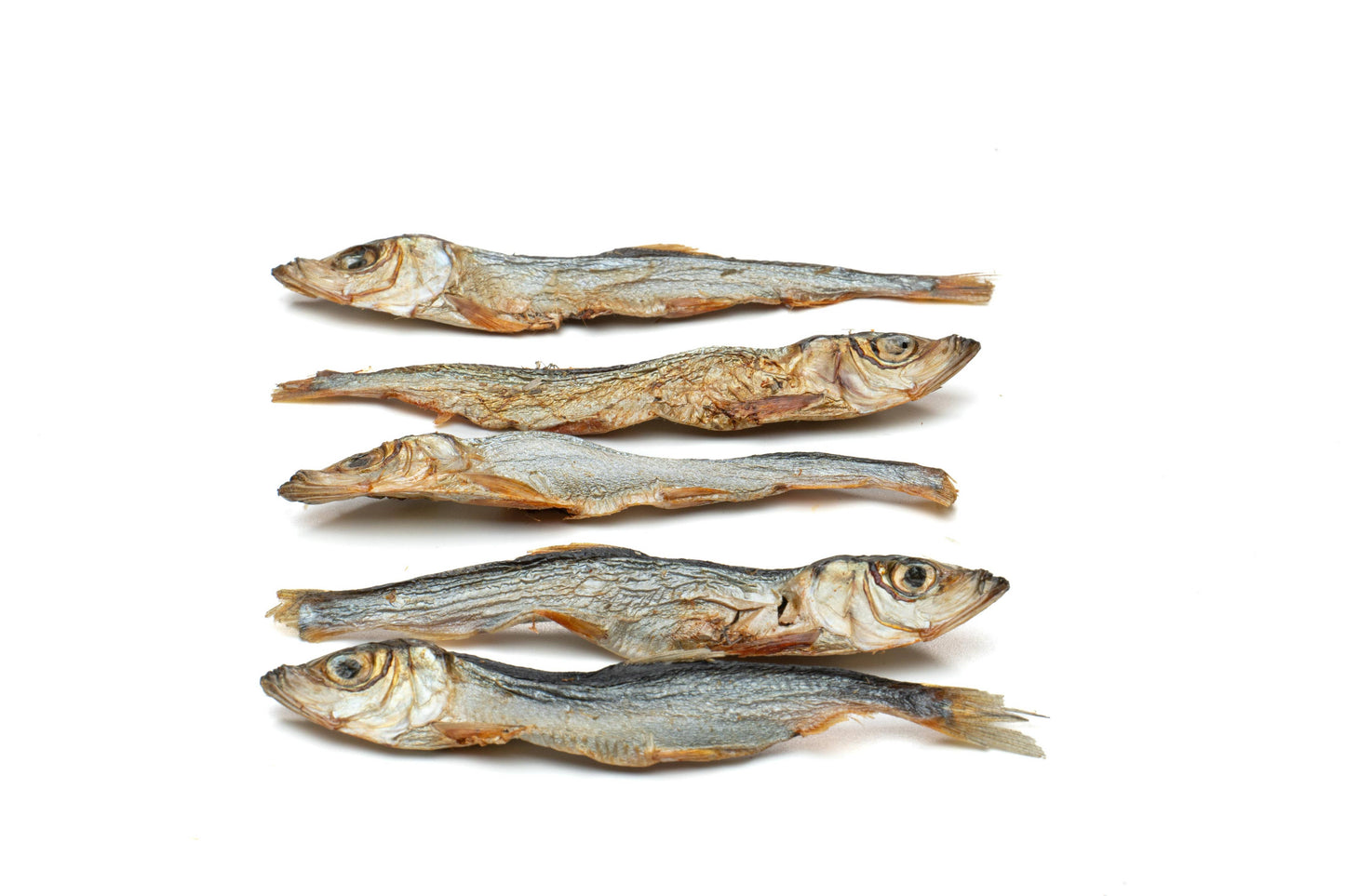 Les Friandises naturelles pour chiens : Harengs de la mer Baltique séchés 80 g