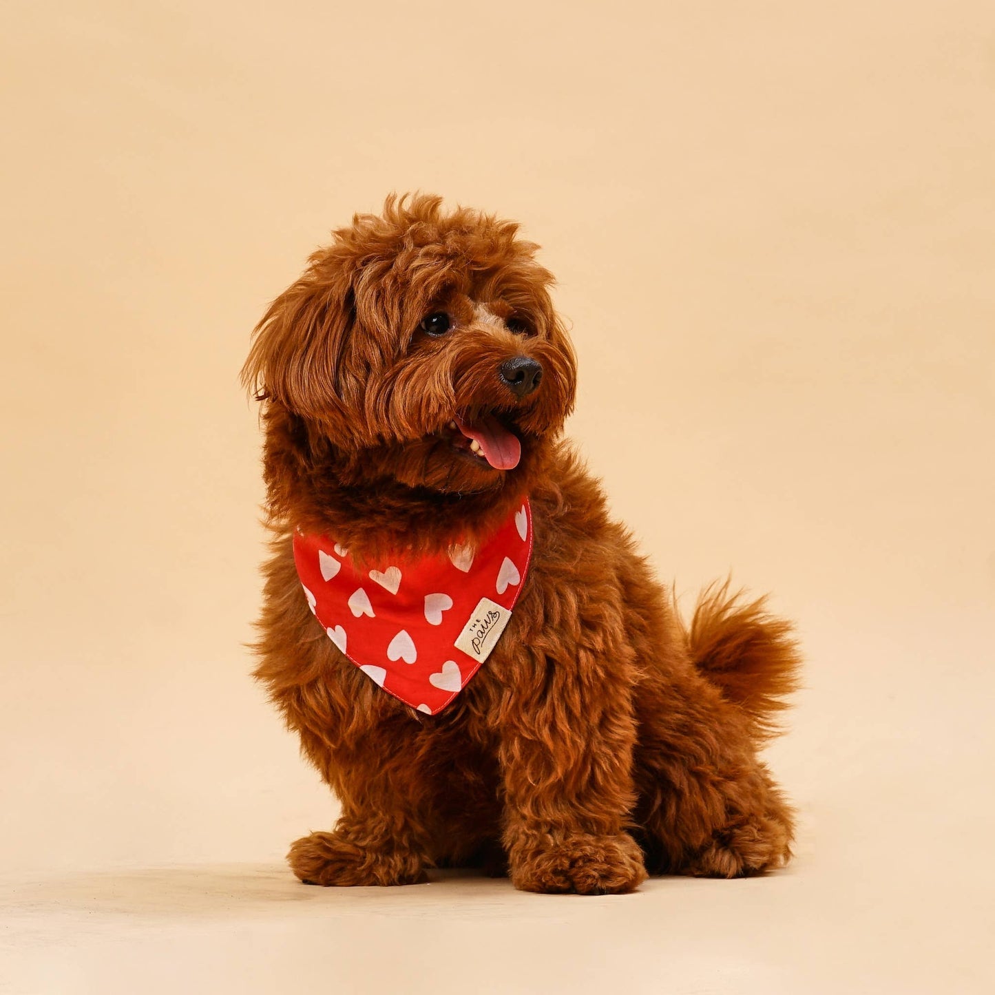 Le Bandana pour chien coeurs