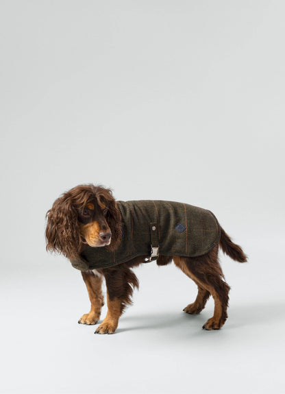 La veste en tweed à carreaux vert foncé - Hackett x Hugo Hudson