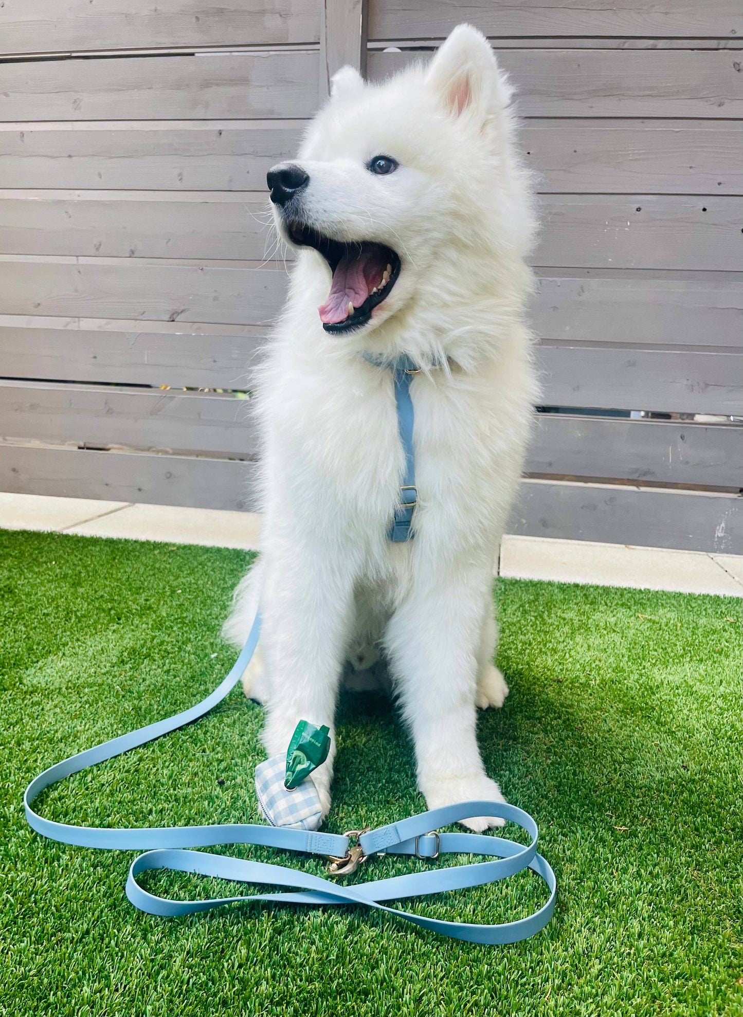 Le Harnais pour chien Malibu Blue Cloud Lite