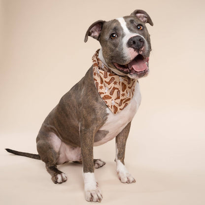 Le Bandana pour chien Bronco