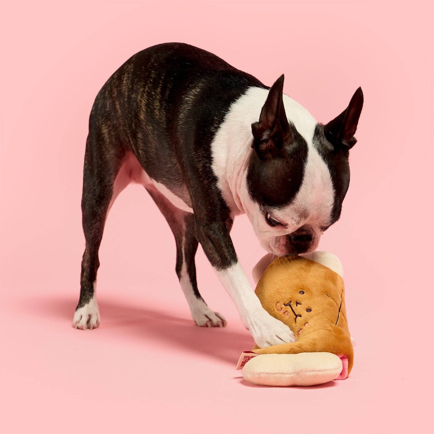 Le Jouet de flairage Bone Appétit