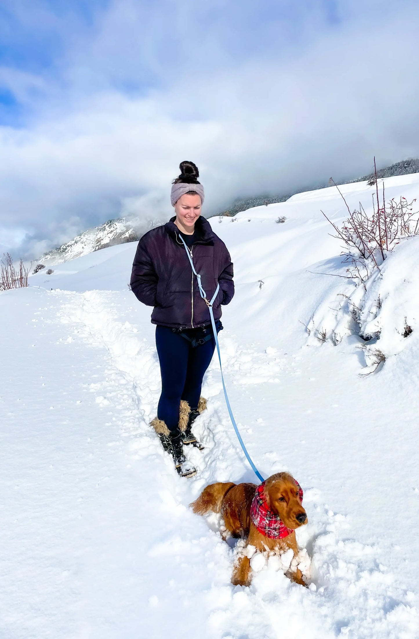 La Laisse pour chien Malibu Blue convertible 4 en 1 mains libres Cloud