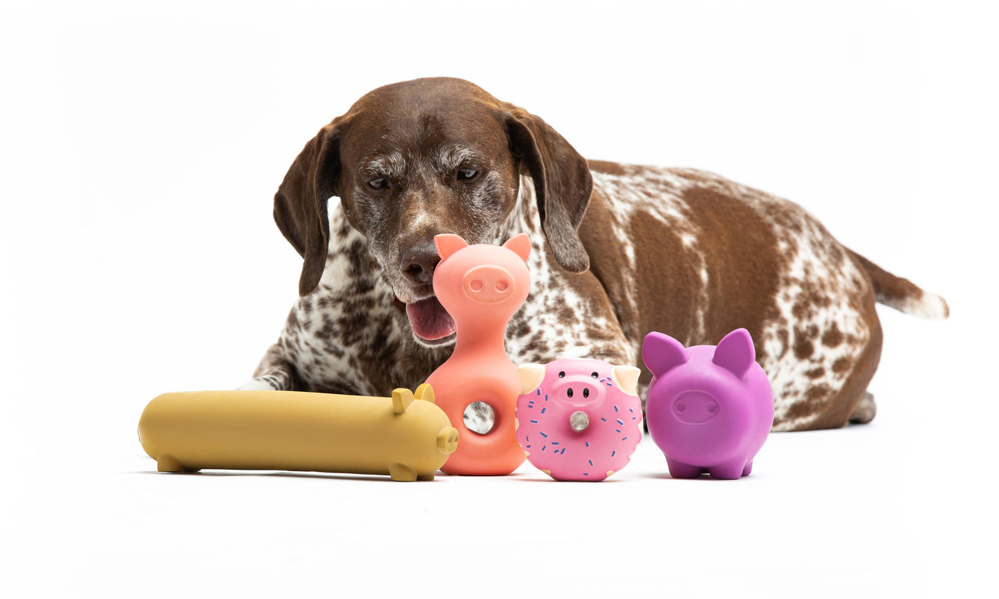 Jouet en latex pour chiens et chats en forme de cochon
