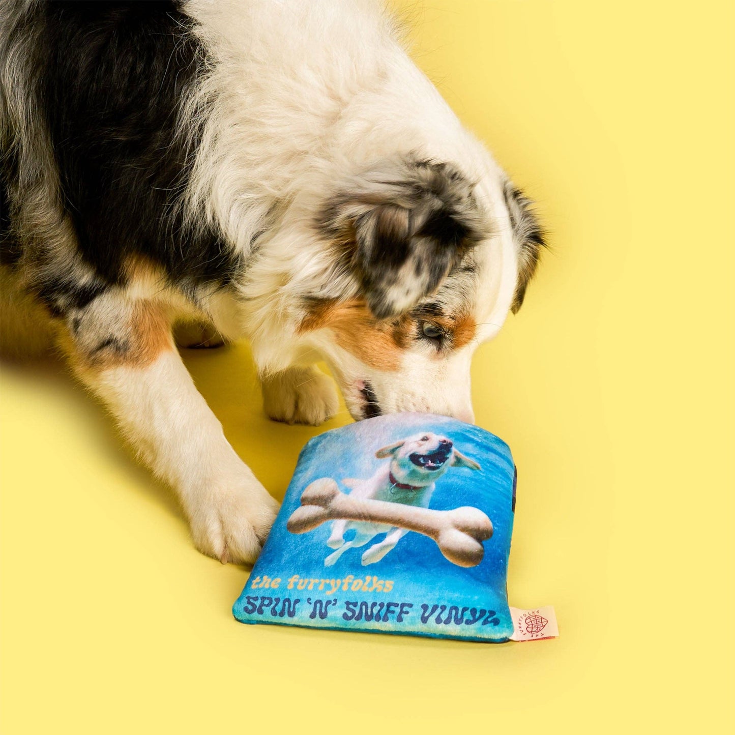 Le Jouet d’odorat en vinyle pour chien