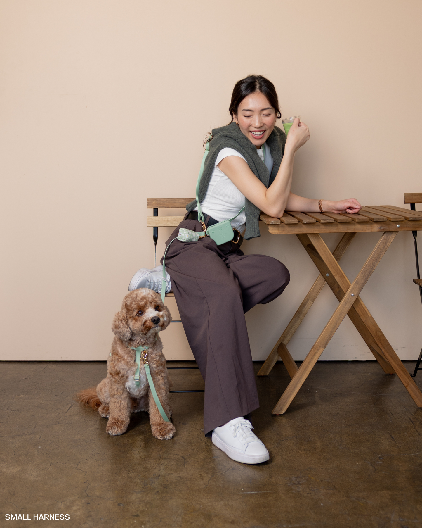 La Laisse mains libres convertible 4-en-1 pour chien vert pistache