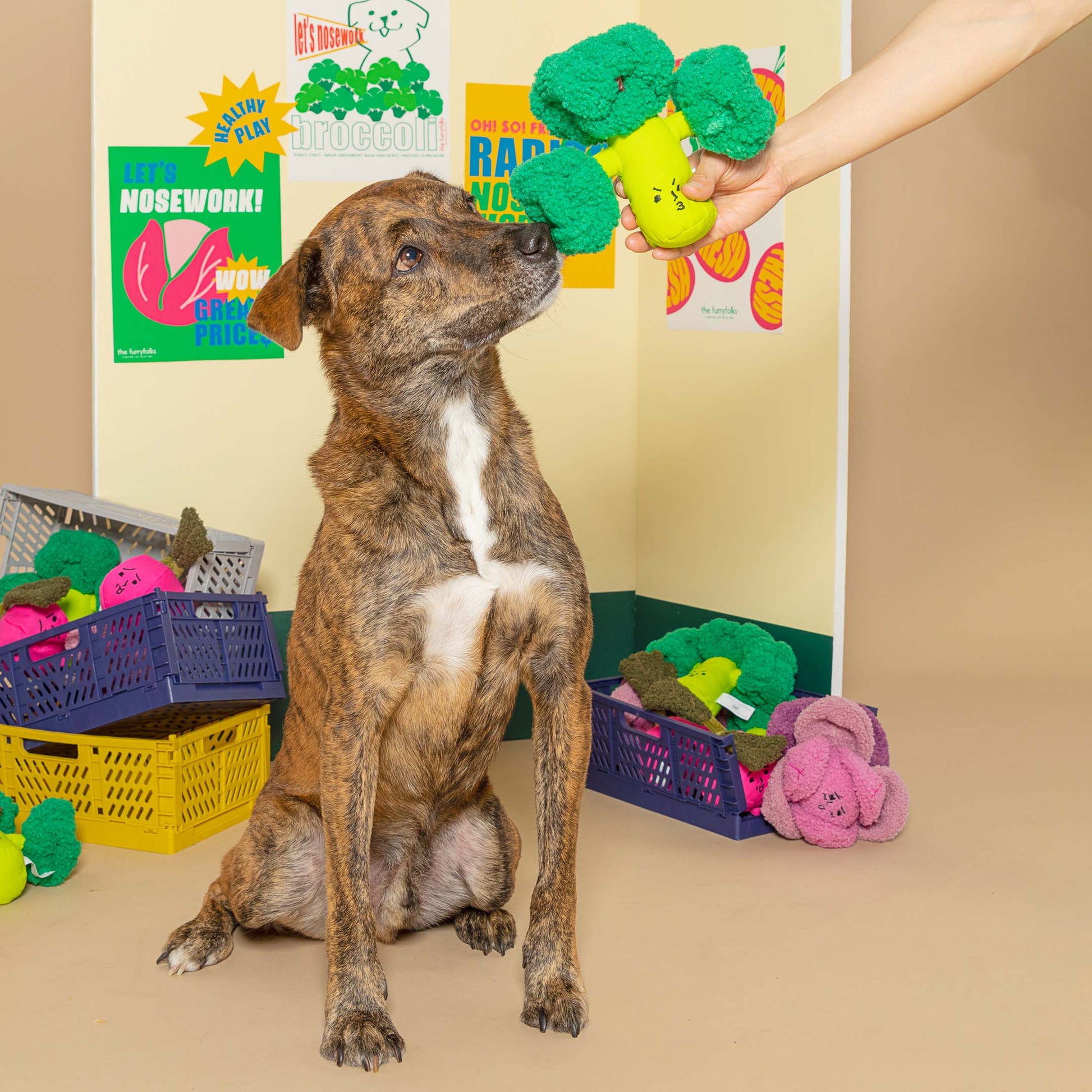 Le Brocoli - Jouet d'Occupation pour les chiens