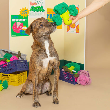 Le Brocoli - Jouet d'Occupation pour les chiens