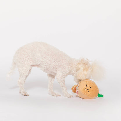 chien qui joue avec jouet oignon