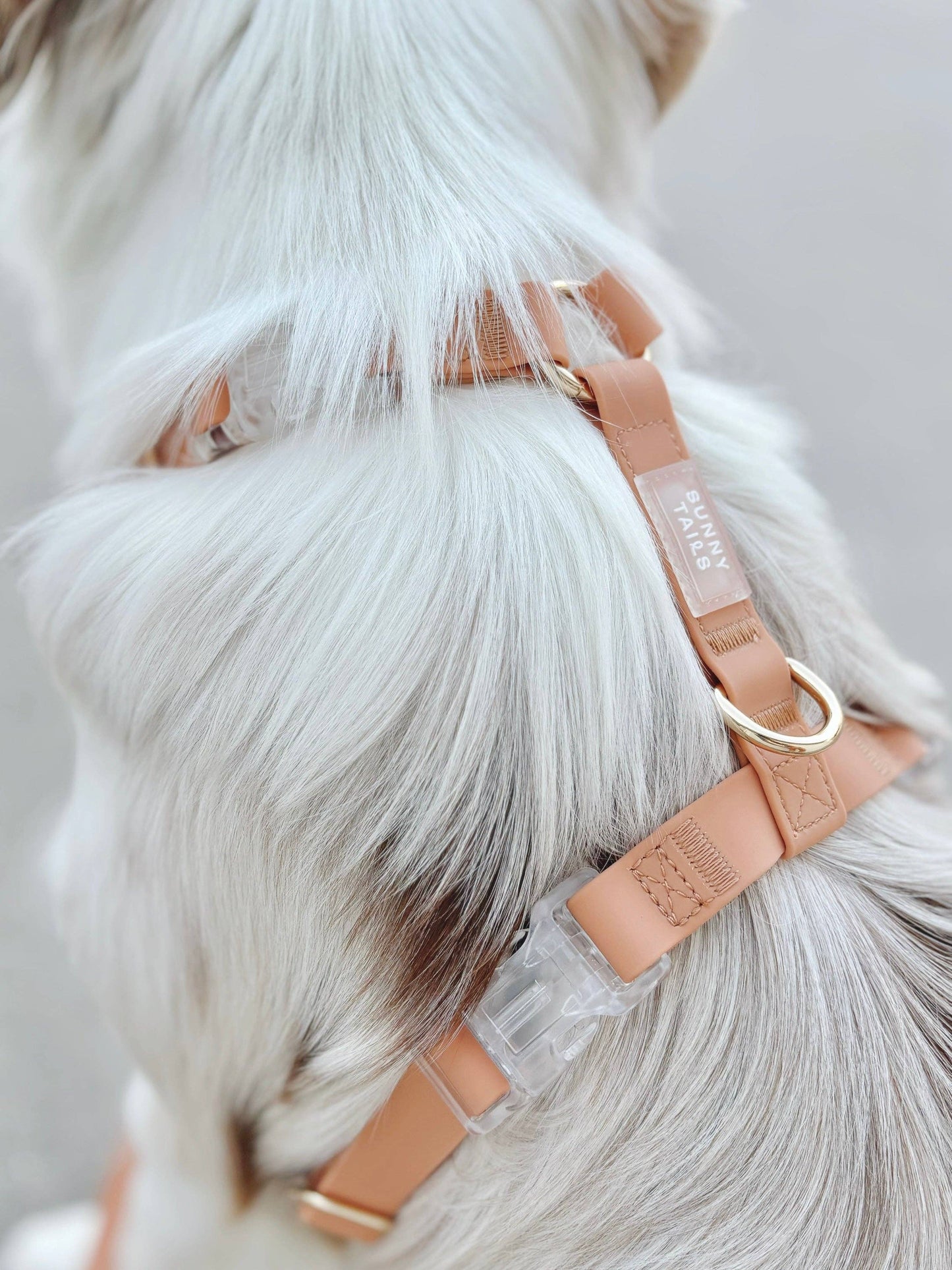 Le Harnais pour chien Chai Brown Cloud Lite