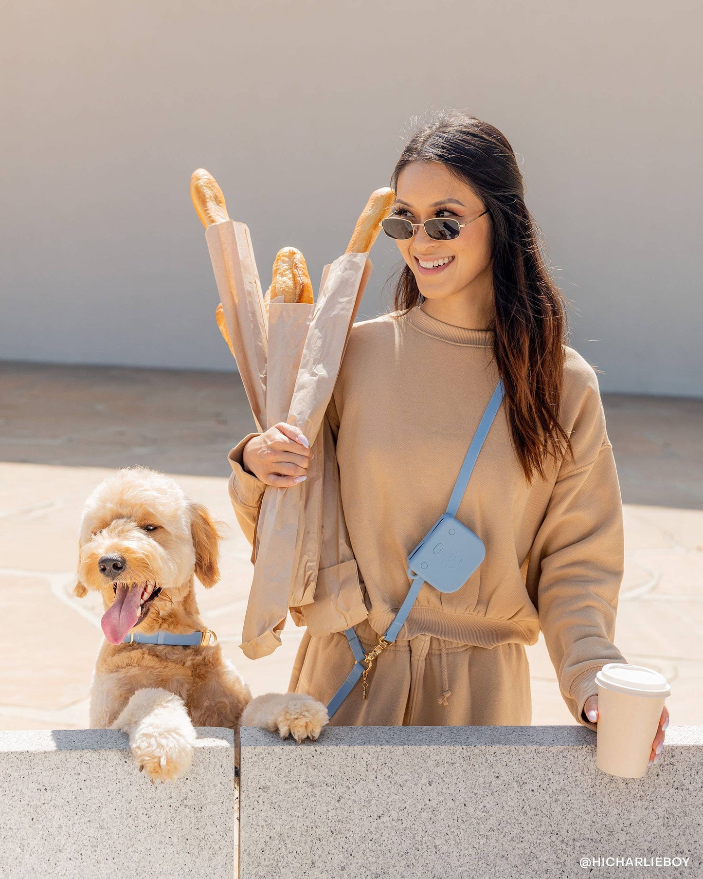 Le Collier imperméable pour chien Malibu Blue