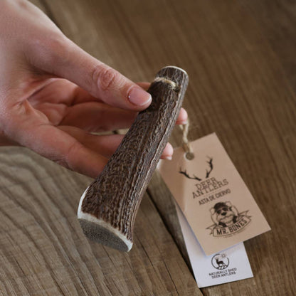Le Bois de Cerf Complet - S