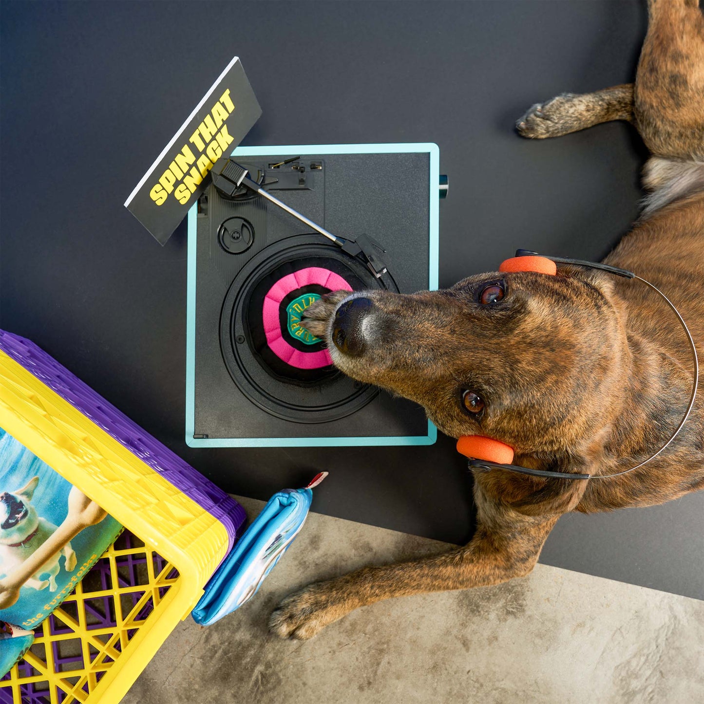Le Jouet d’odorat en vinyle pour chien