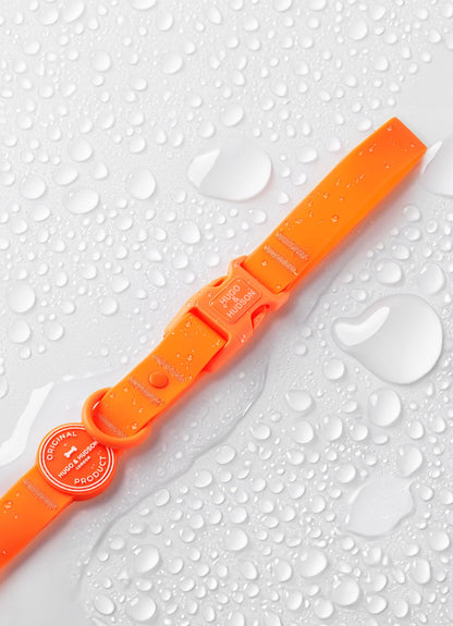 La Laisse imperméable pour chien Orange