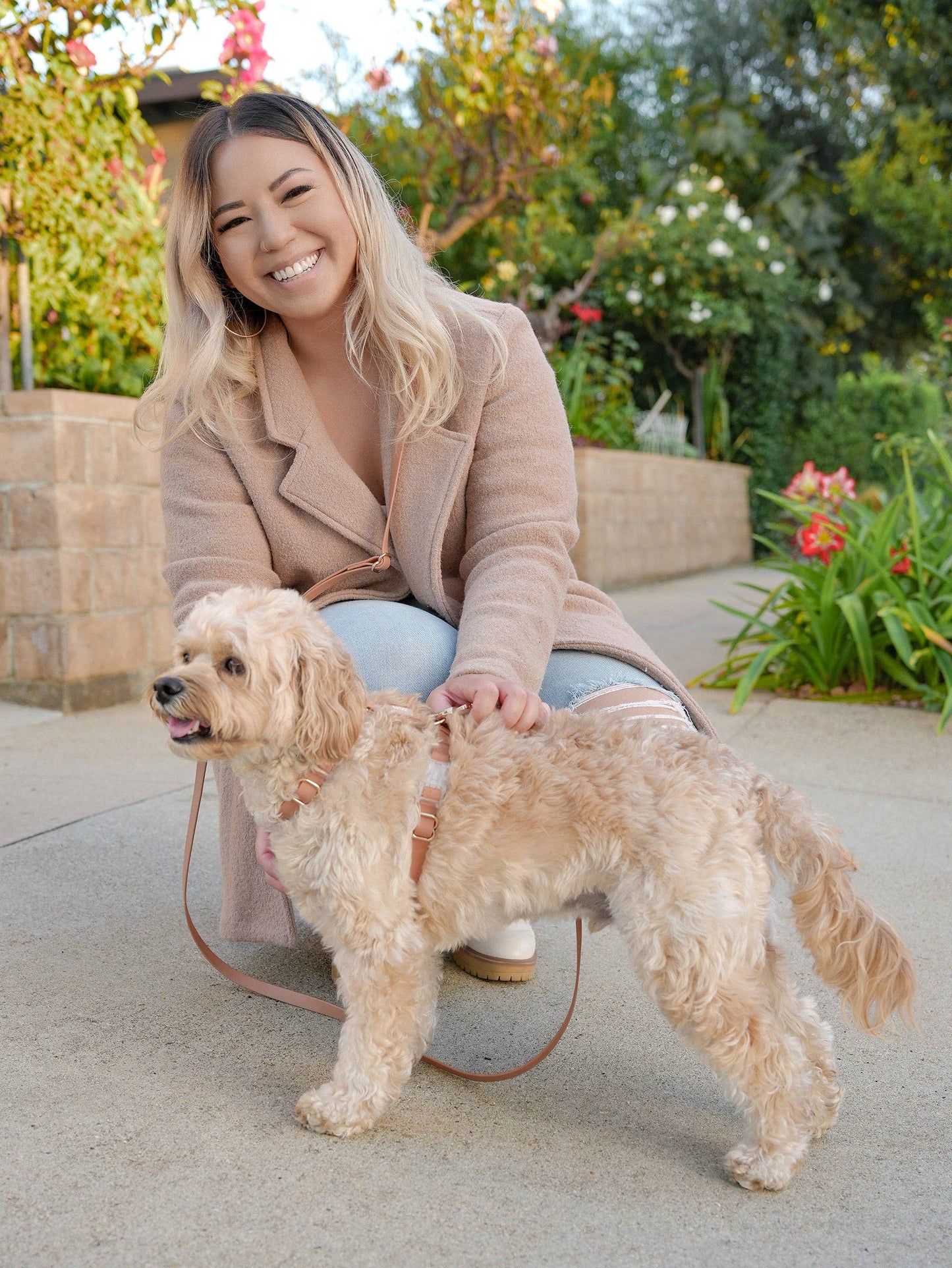 Le Harnais pour chien Chai Brown Cloud Lite