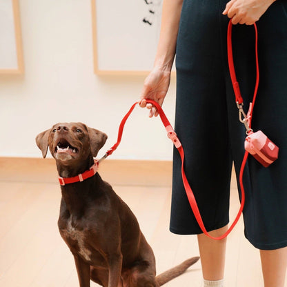 Le collier Fritz