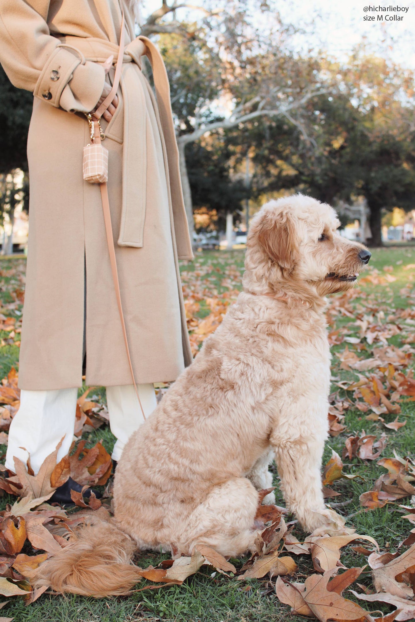 Le Collier imperméable pour chien Chai Brown