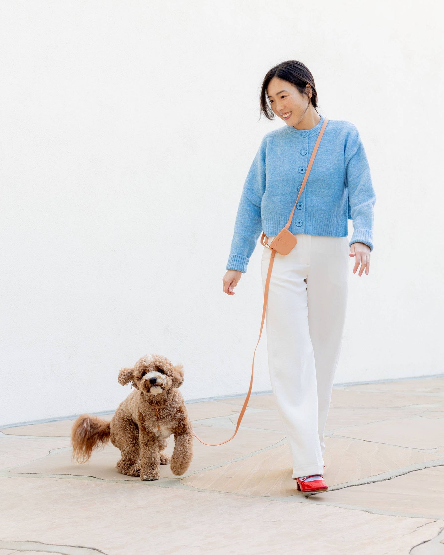 La Laisse pour chien convertible 4 en 1 Chai Brown Hands Free Cloud