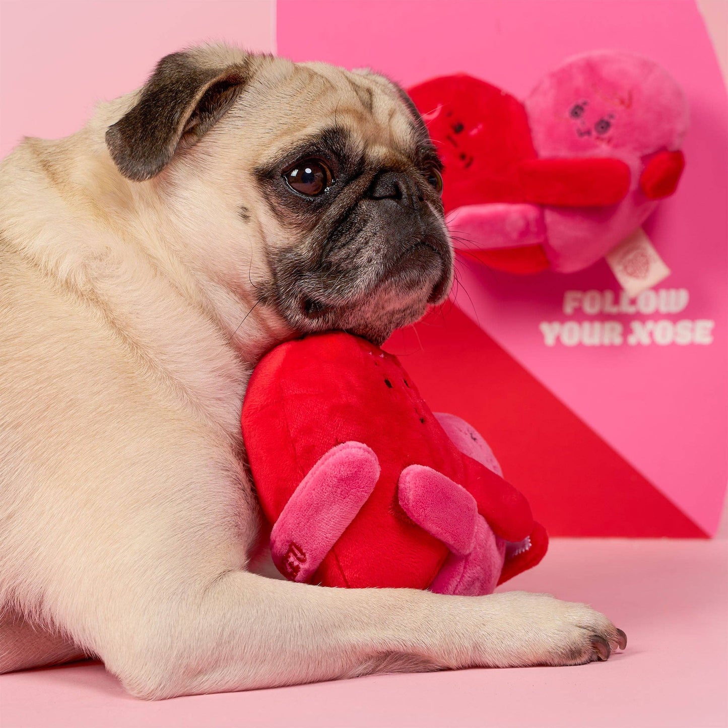 Le Jouet de Pistage Amour Verrouillé