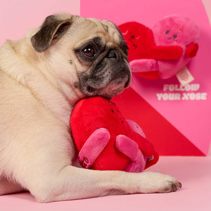 Le Jouet de Pistage Amour Verrouillé