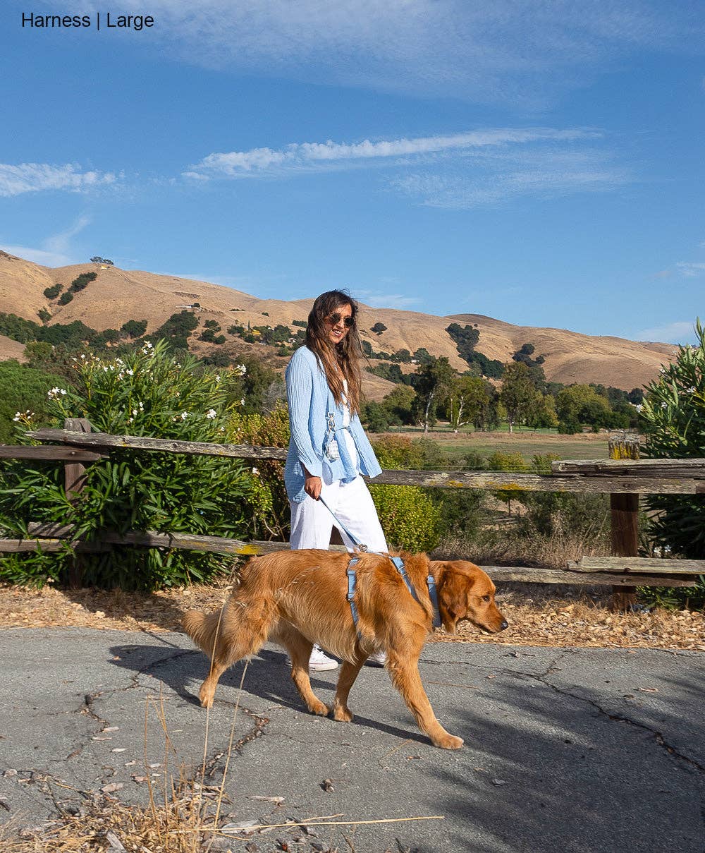 Le Harnais pour chien Malibu Blue Cloud Lite