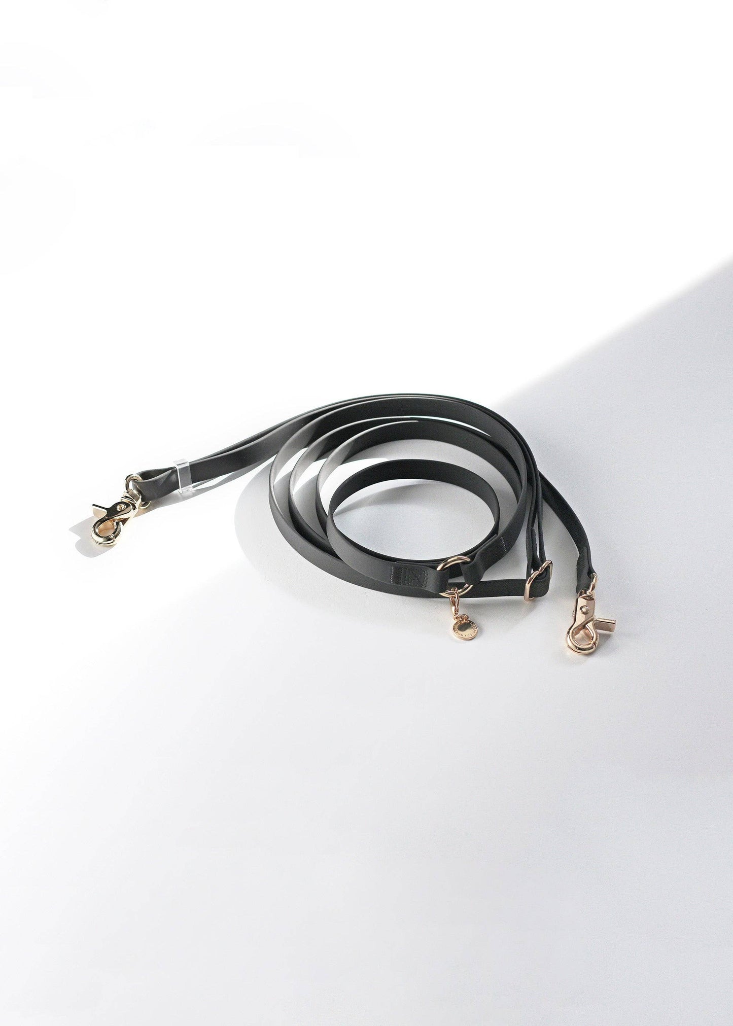 La Laisse pour chien Ember Black convertible 4 en 1 Hands Free Cloud