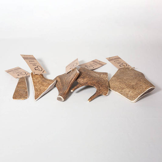Le Bois de Daim - Mastication