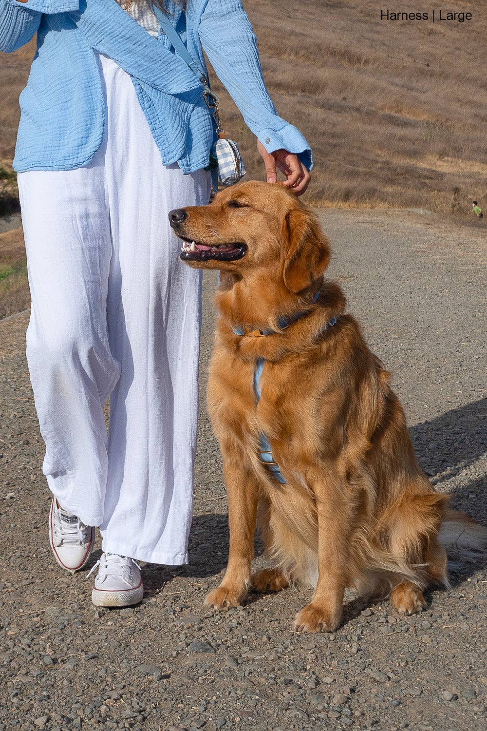 Le Harnais pour chien Malibu Blue Cloud Lite