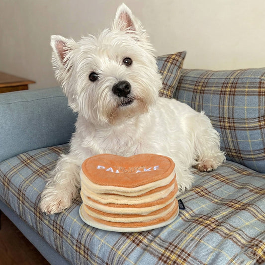 Le Jouet Pancake