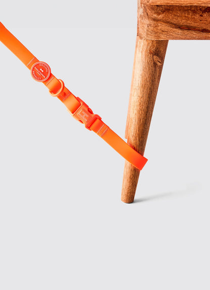 La Laisse imperméable pour chien Orange