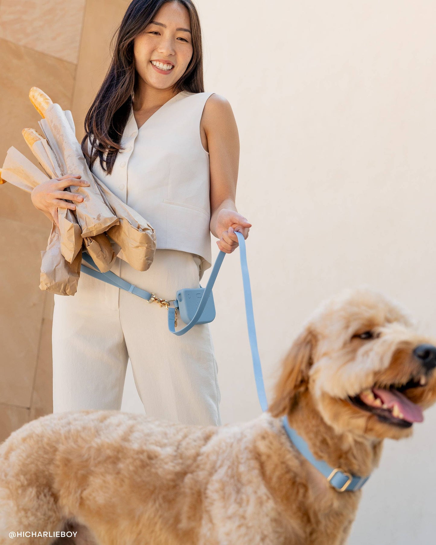La Laisse pour chien Malibu Blue convertible 4 en 1 mains libres Cloud
