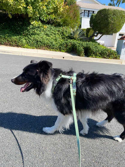 Le Harnais pour chien Pistachio Green Cloud Lite